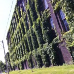 1005575_472842632801881_1067529688_n