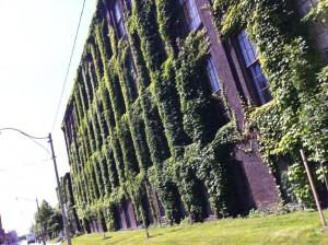 1005575_472842632801881_1067529688_n