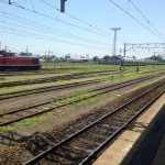 image (1)