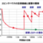 【休学×TOEIC】40日間で400点UP!?TOEIC受験生が絶対に知るべき4つの普遍的法則